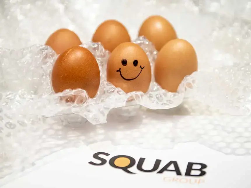WhySquab_insurance A smiling egg